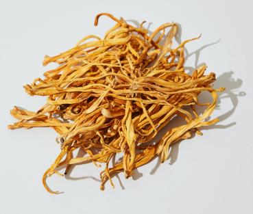 Bio Cordyceps Pulver 100 g
