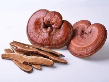 Bio Reishi Pulver 100 g